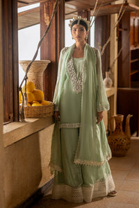 SC-D-07-26-1 Dupatta