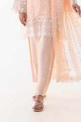 Stitched Embroidered Raw Silk Shalwar