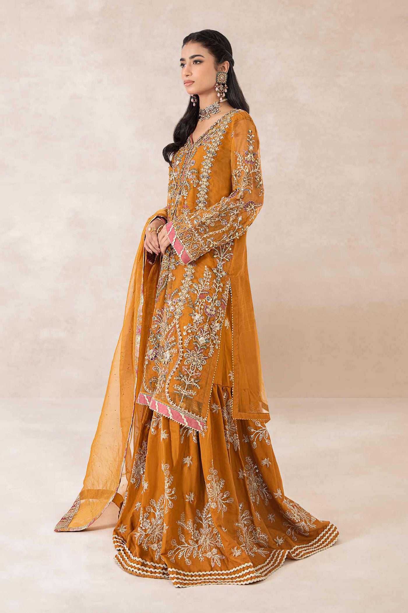 Embellished chiffon dupatta with fancy trimmings(as shown)