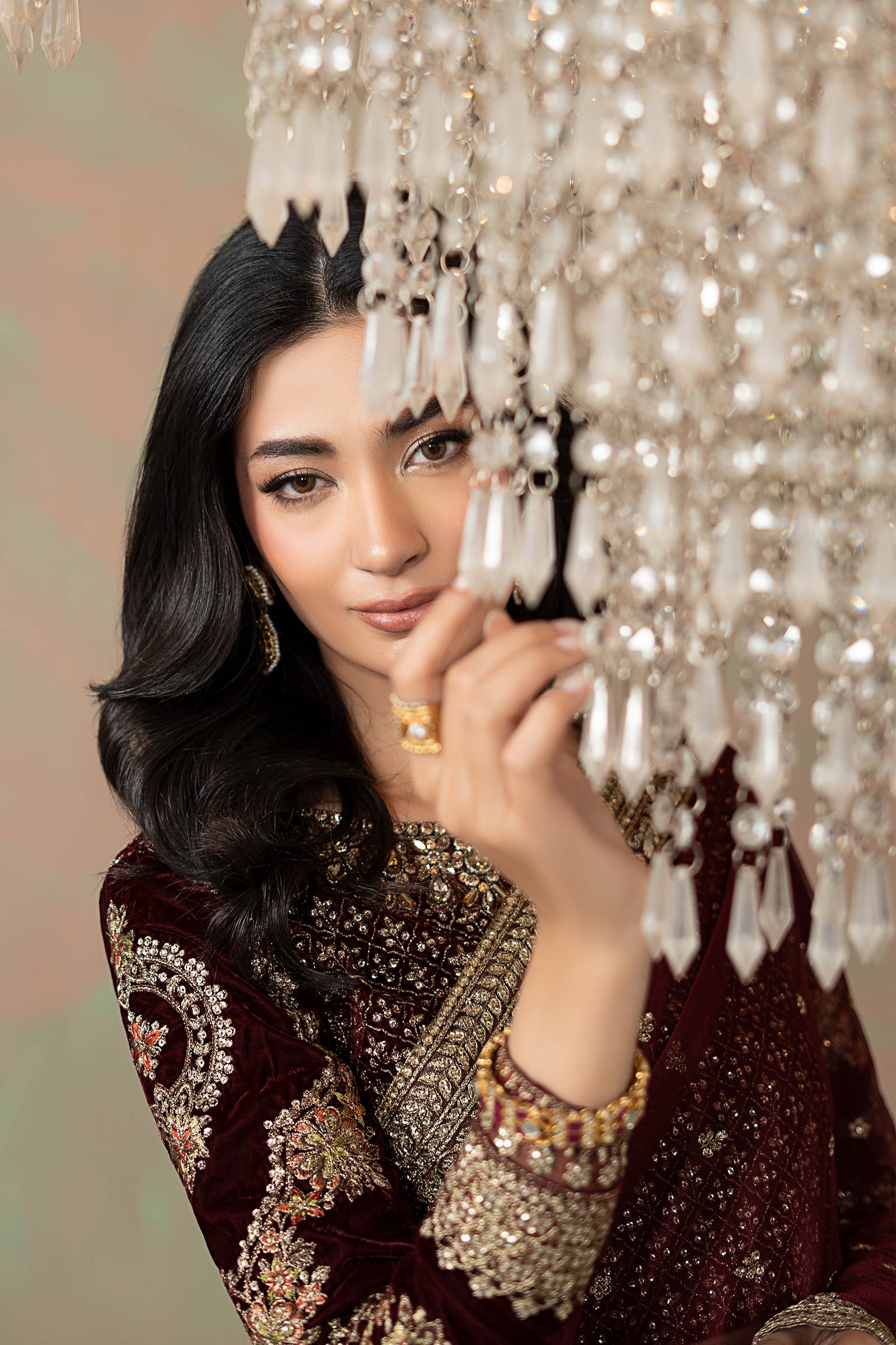 Embroidered Net Saree