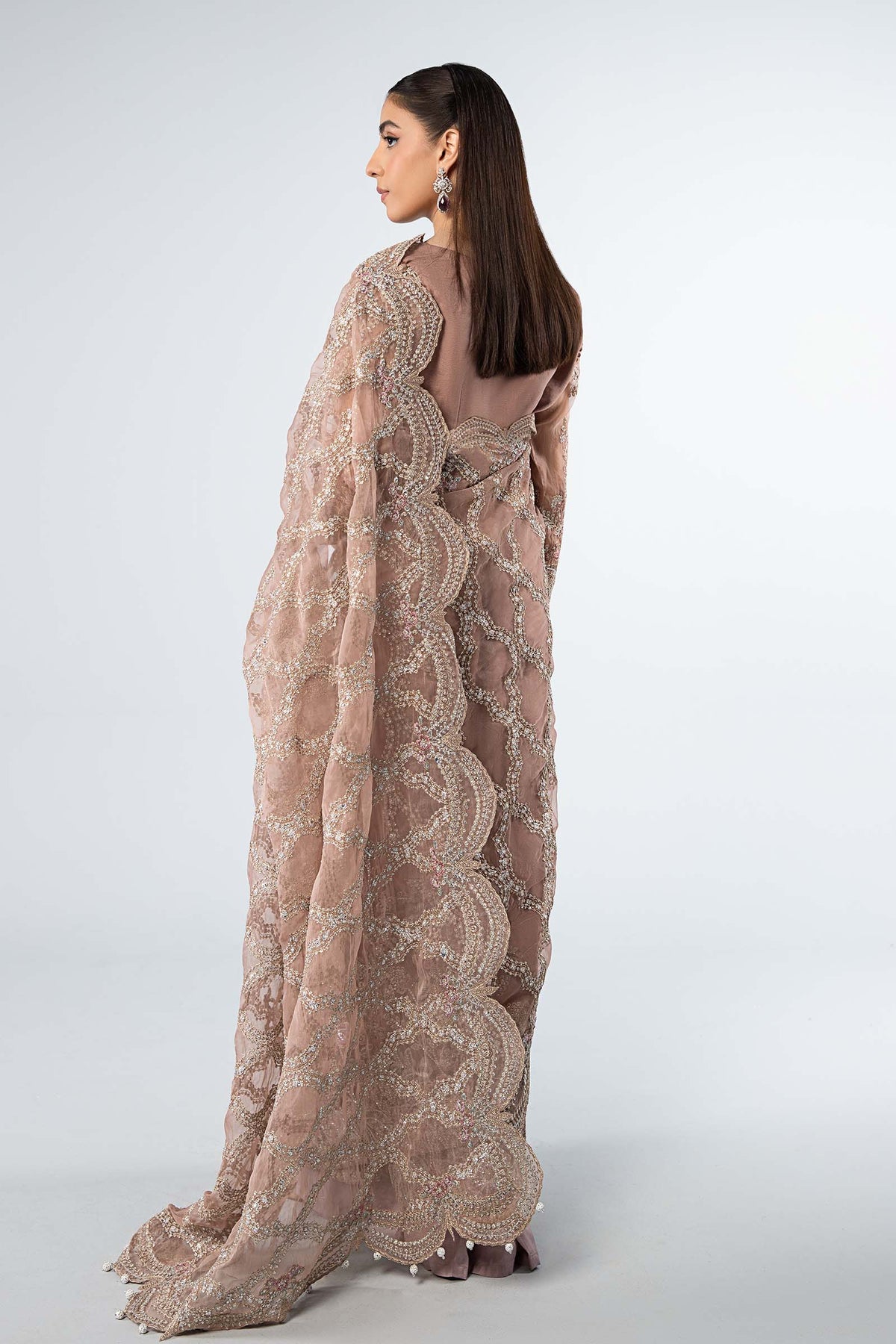 Embroidered Organza Saree