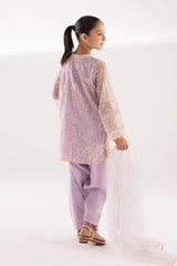 Stitched Kids Embroidered Net Suit