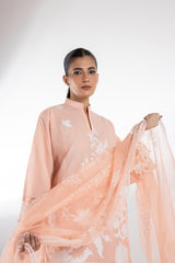Stitched Muzlin Embroidered Lawn Suit