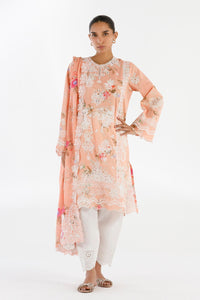 Stitched Embroidered Lawn Suit