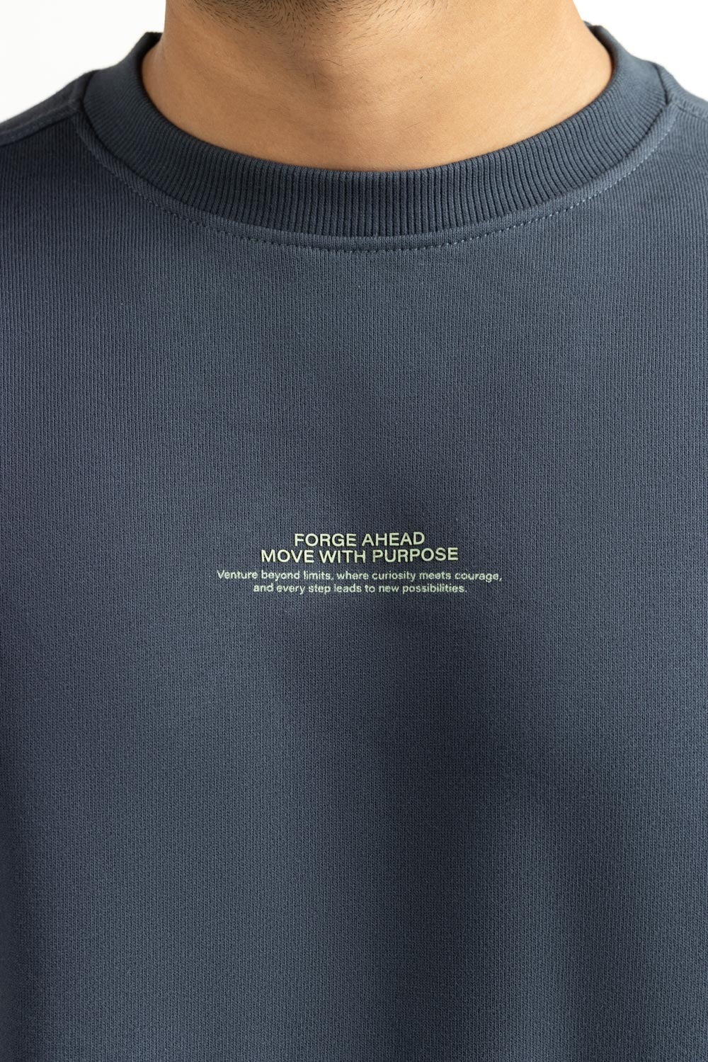 Regular Fit Sweatshirt
