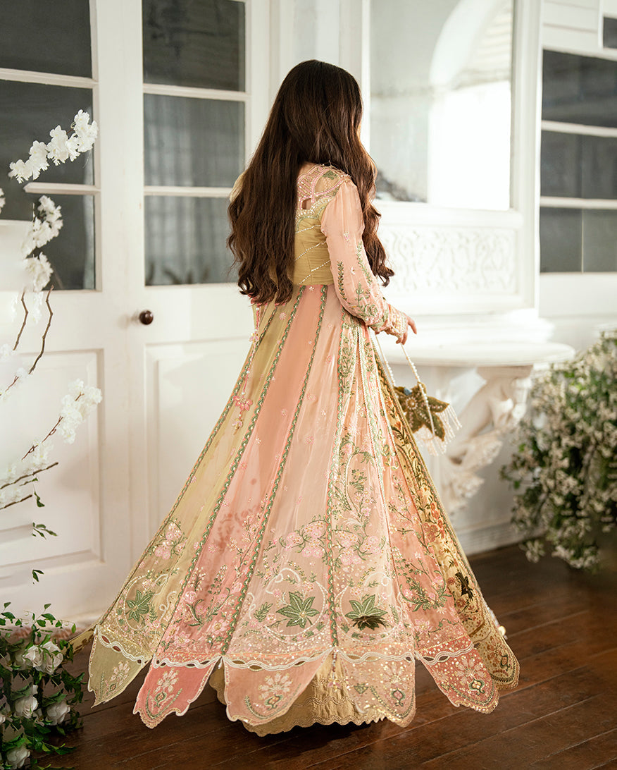 3 Piece - Printed Lawn Suit