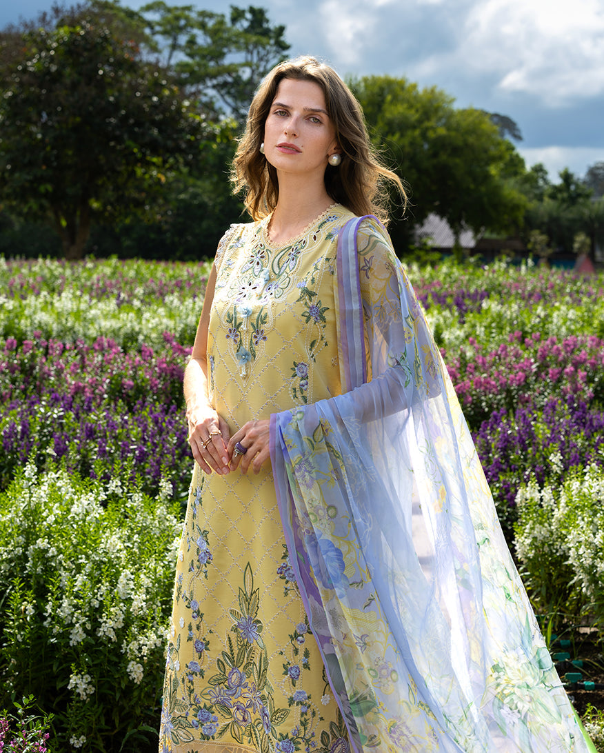 https://cdn.shopify.com/s/files/1/0539/7318/8776/files/Sunlit_Meadow_2.jpg?v=1768982068