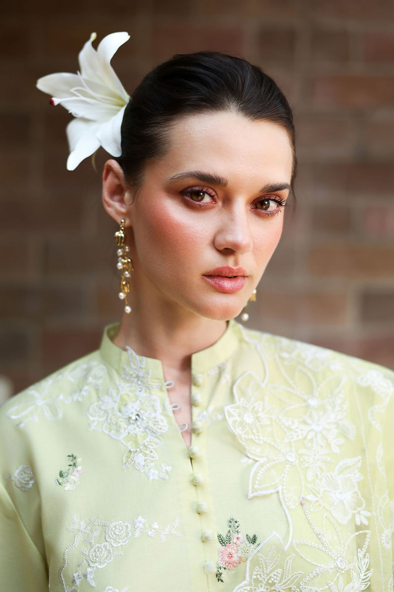 Citrus Lace-3Pc Embroidered Lawn Suit