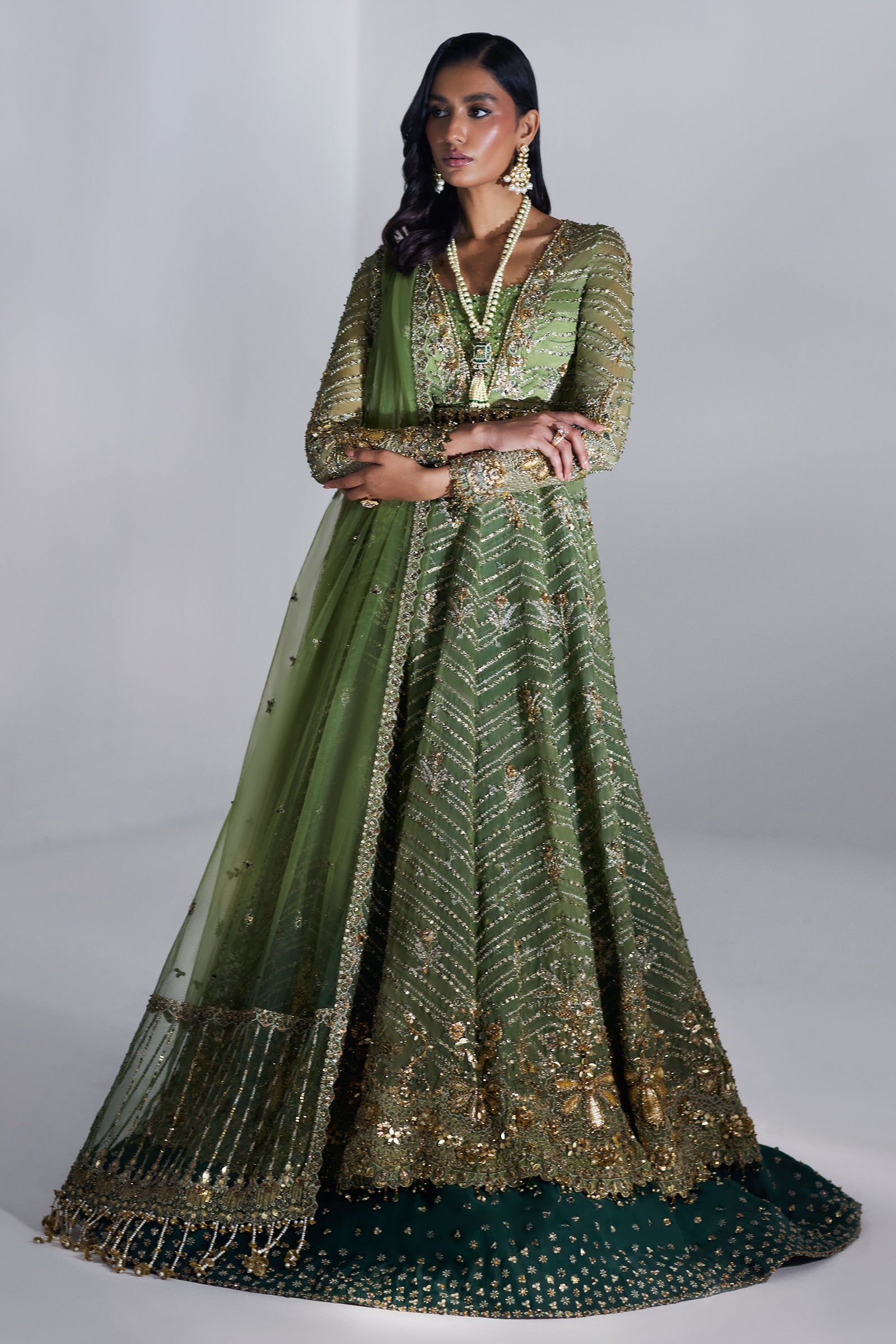 SCINTILLANT OLIVE  (EP-20995)