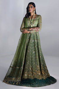 SCINTILLANT OLIVE  (EP-20995)