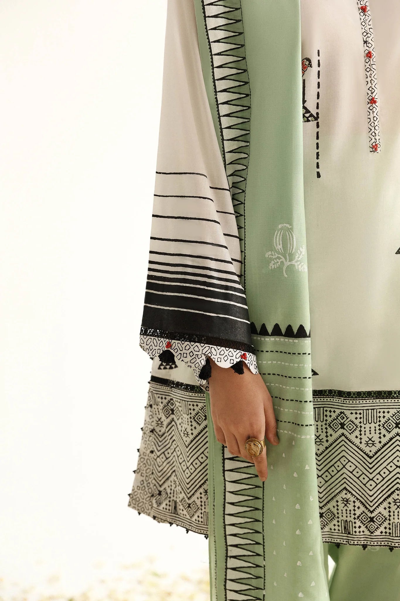 PARISA (EVI-20785)-IMAGE