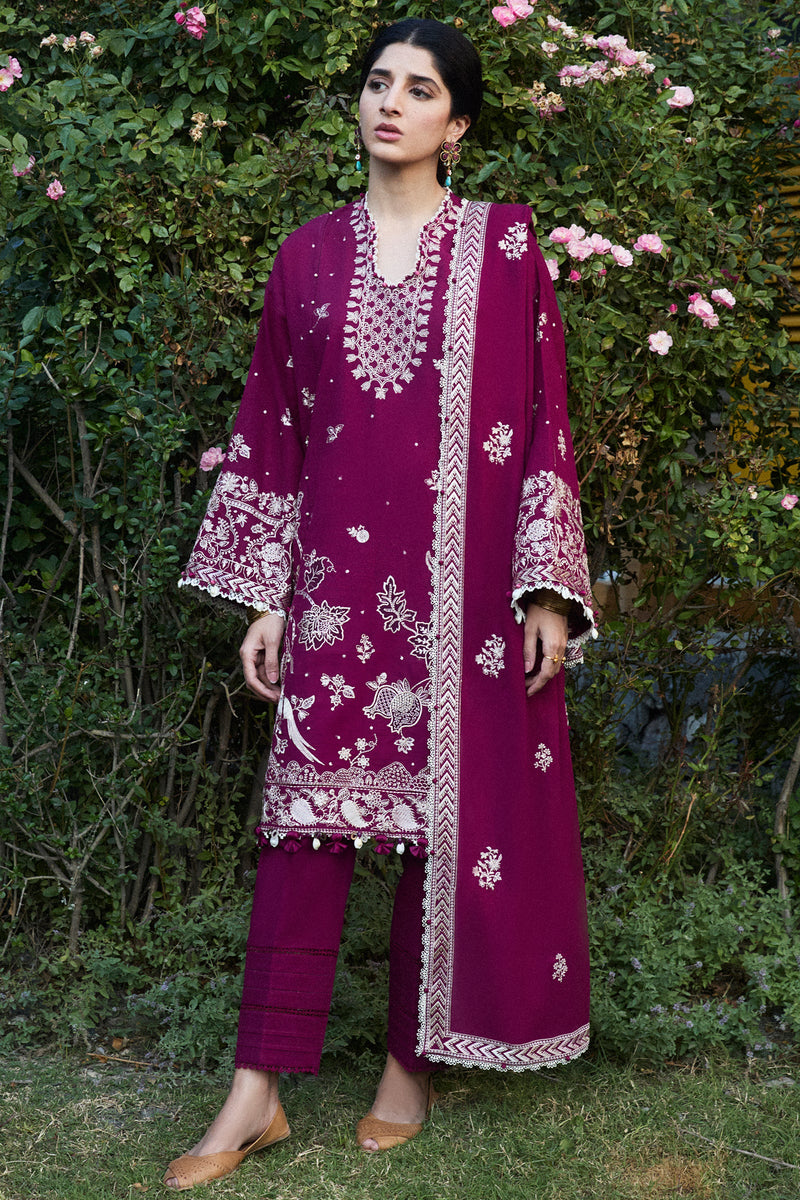 Afreen (Zw24-12)