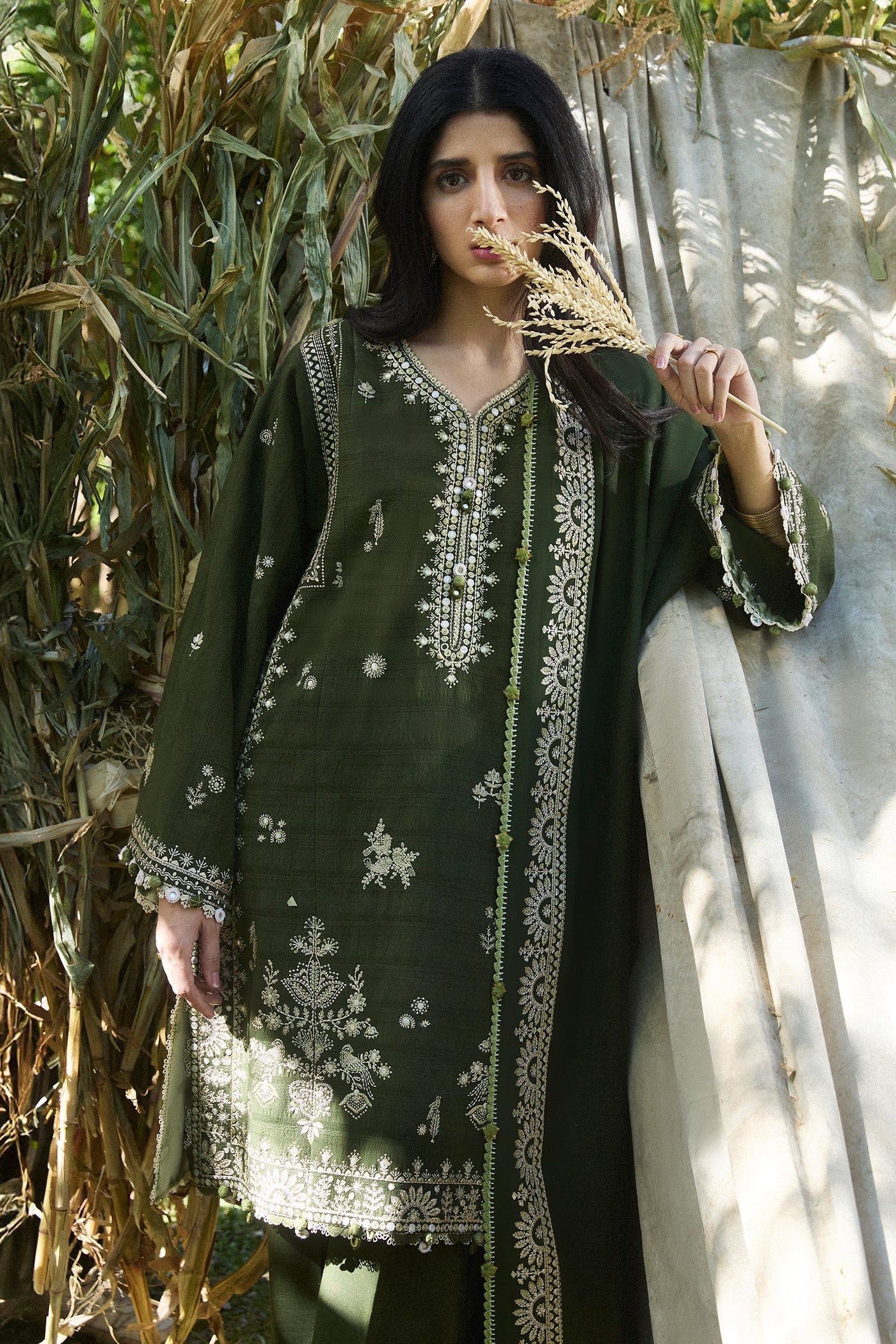 Sabaaz (Zw24-01)