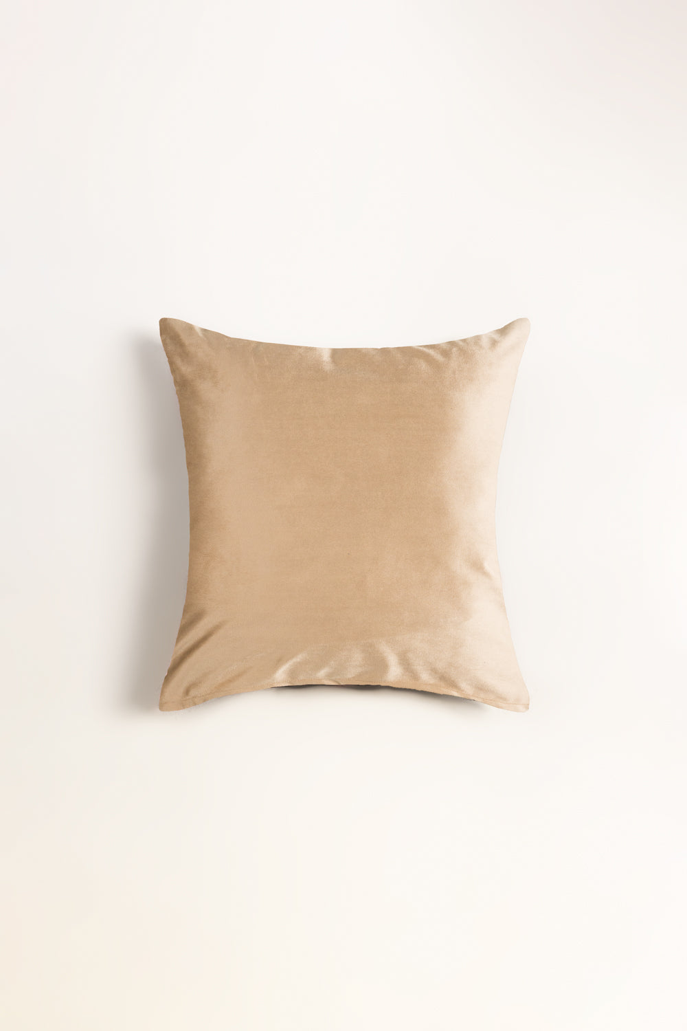 Vec -26-22 Velvet Embroidered Cushion Cover