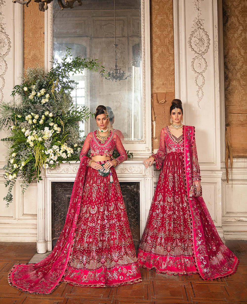 Oeillet Rouge