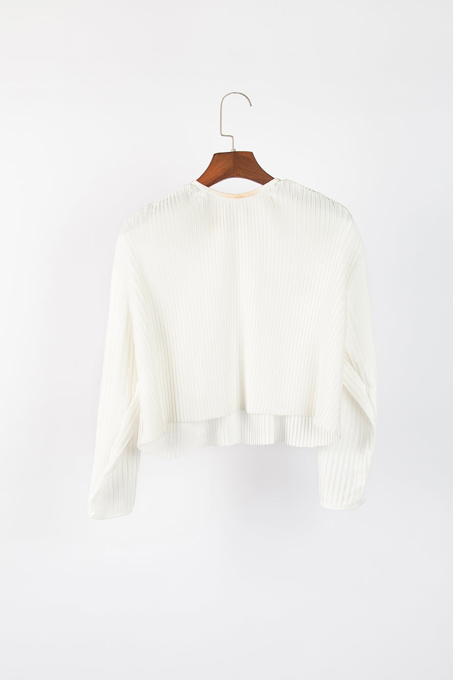 Flared Sun Pleated Top (With Sleeves)
