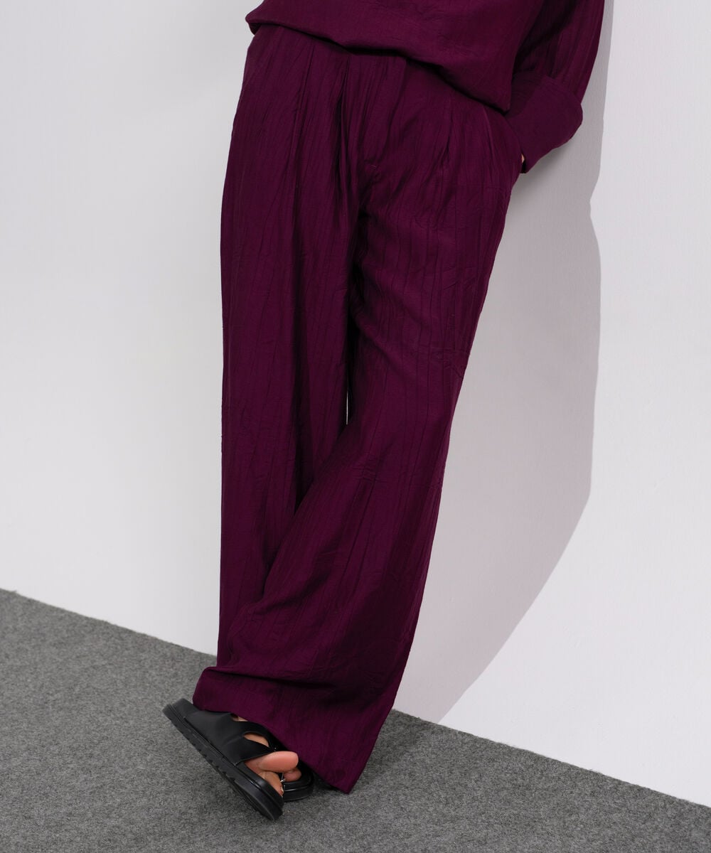 Textured Pleated Trousers WBTMV0826004