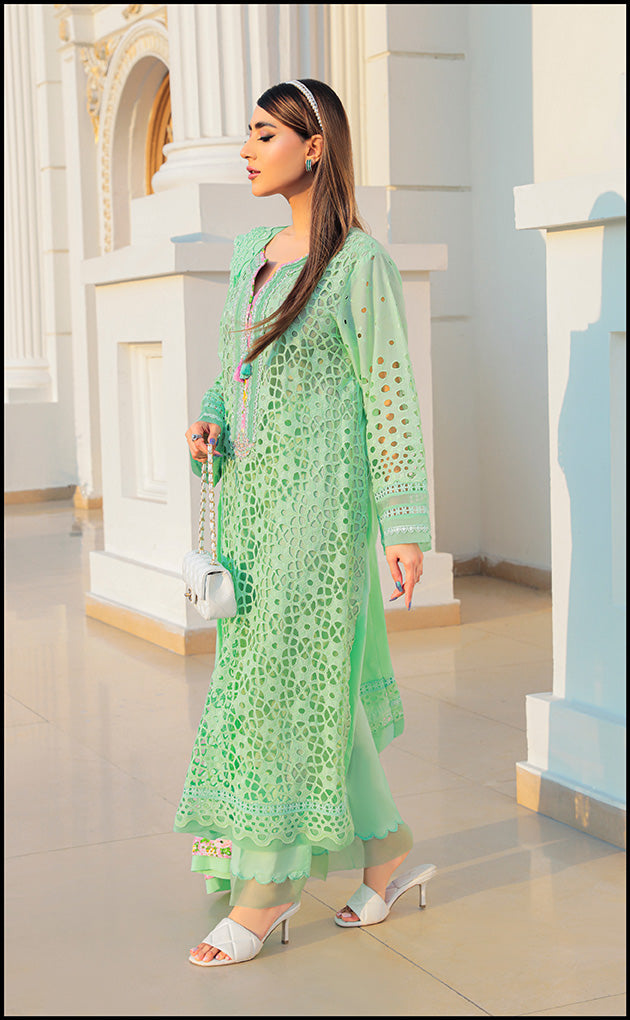 https://cdn.shopify.com/s/files/1/0560/5431/7229/products/WEB18.jpg?v=1678947995