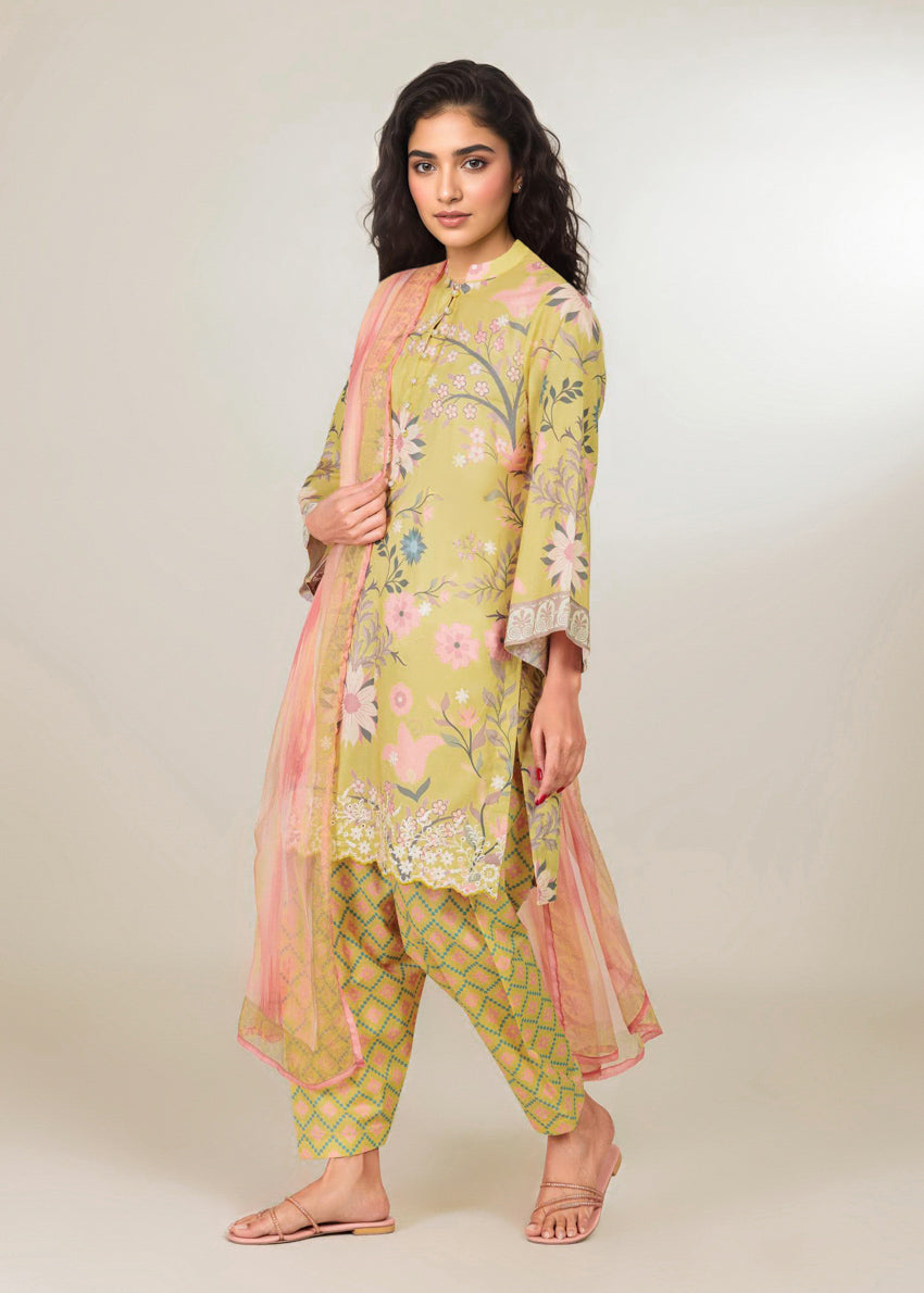 Multi-Chiffon-3 Piece (WP3PPBS26B1F13)