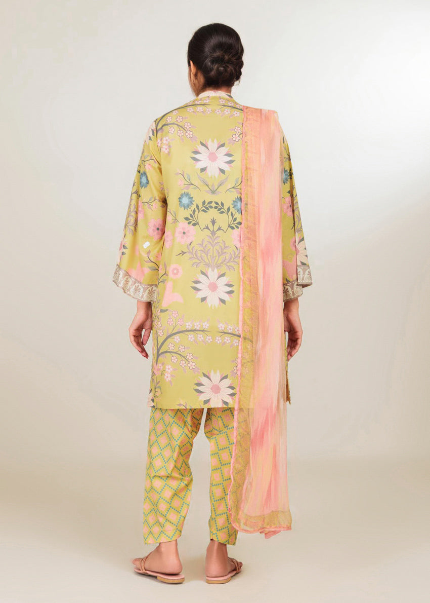Multi-Chiffon-3 Piece (WP3PPBS26B1F13)