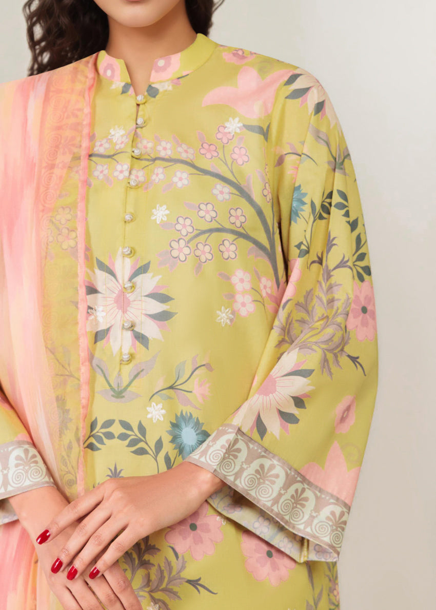 Multi-Chiffon-3 Piece (WP3PPBS26B1F13)