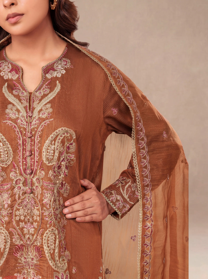 Rust-Fancy-Zari-3 Piece (WP3PSLW25L11D6)