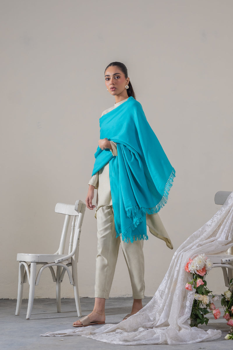 Basic Shawls