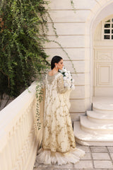 Rashmeen Ivory