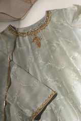 Mint Embroidered Kalidaar