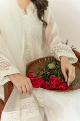 Daisy Love Ivory