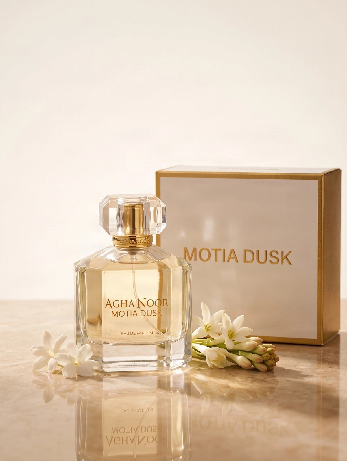 MOTIA DUSK - (PF00006)