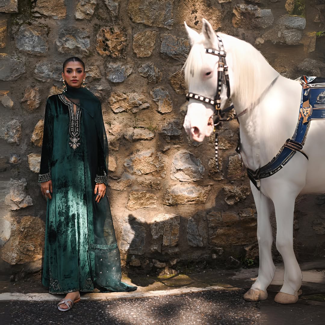 Zamurd-Signature festive Edit