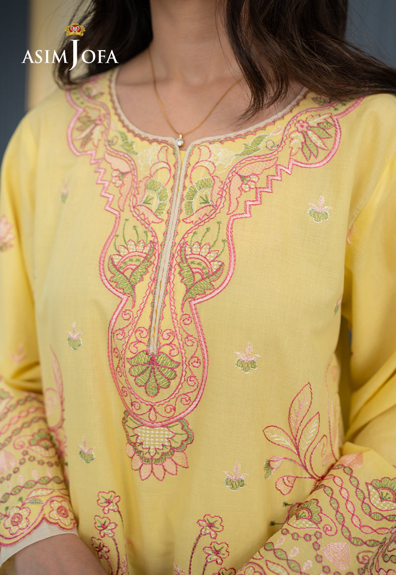 AJPBE-08 Embroidered Cambric Stitched 2 Pcs