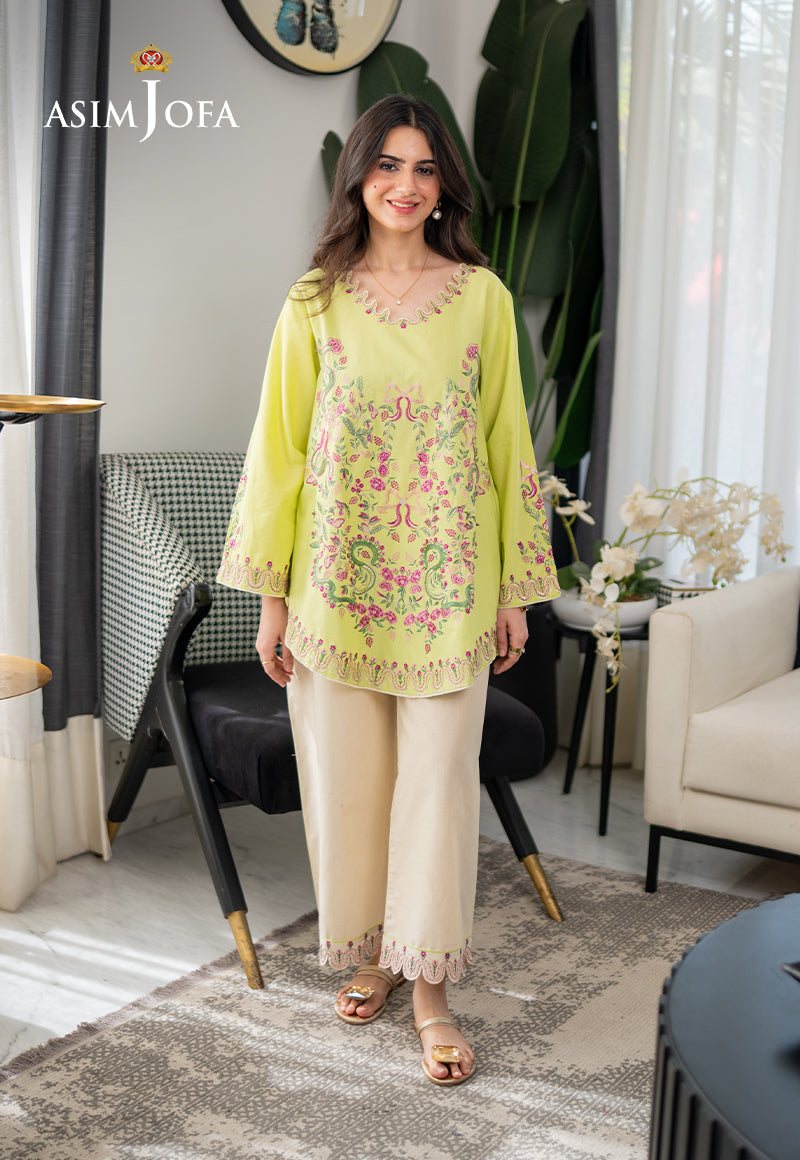 AJPBE-09 Embroidered Cambric Stitched 2 Pcs