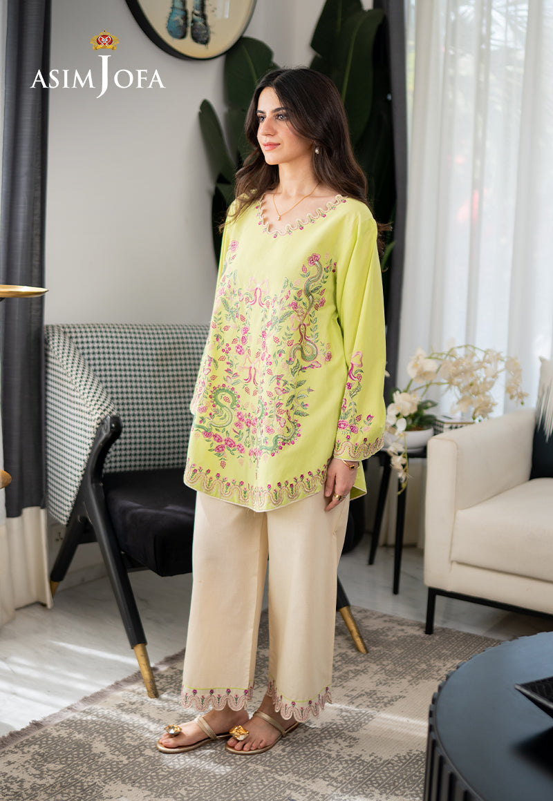 AJPBE-09 Embroidered Cambric Stitched 2 Pcs