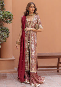 Abru Maroon