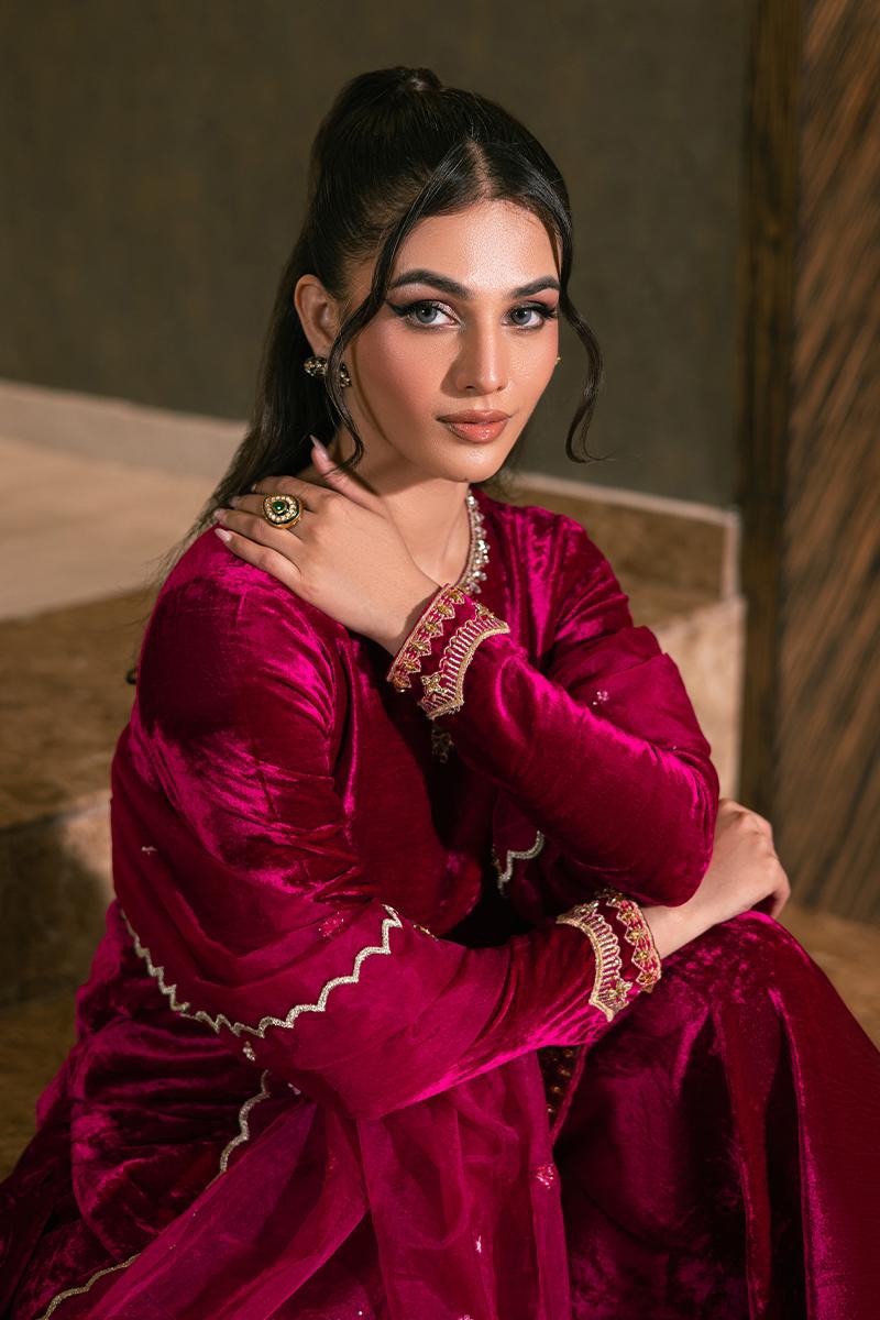 Arrash Velvet luxe by Alizay Saad
