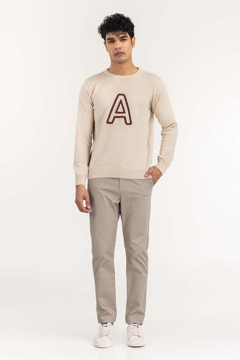 https://cdn.shopify.com/s/files/1/0706/3253/8159/files/beige_crew_neck_sweater_with_embroidery_swt-ffscn22-219_3.jpg?v=1758382433