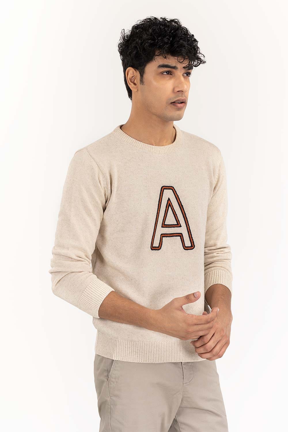 https://cdn.shopify.com/s/files/1/0706/3253/8159/files/beige_crew_neck_sweater_with_embroidery_swt-ffscn22-219_4.jpg?v=1758382433