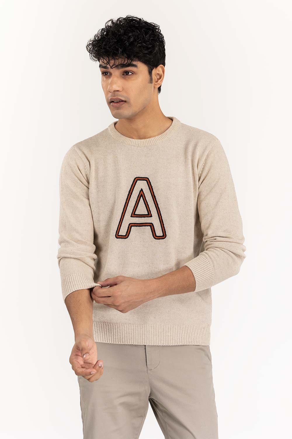 https://cdn.shopify.com/s/files/1/0706/3253/8159/files/beige_crew_neck_sweater_with_embroidery_swt-ffscn22-219_5.jpg?v=1758382433