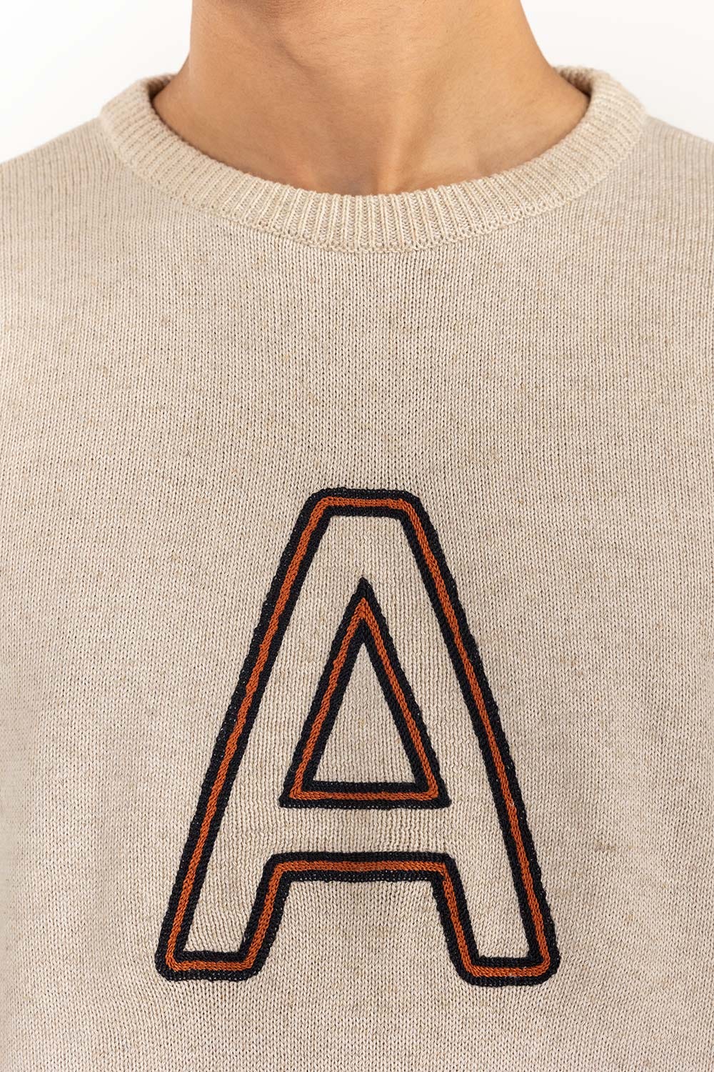 https://cdn.shopify.com/s/files/1/0706/3253/8159/files/beige_crew_neck_sweater_with_embroidery_swt-ffscn22-219_6.jpg?v=1758382434