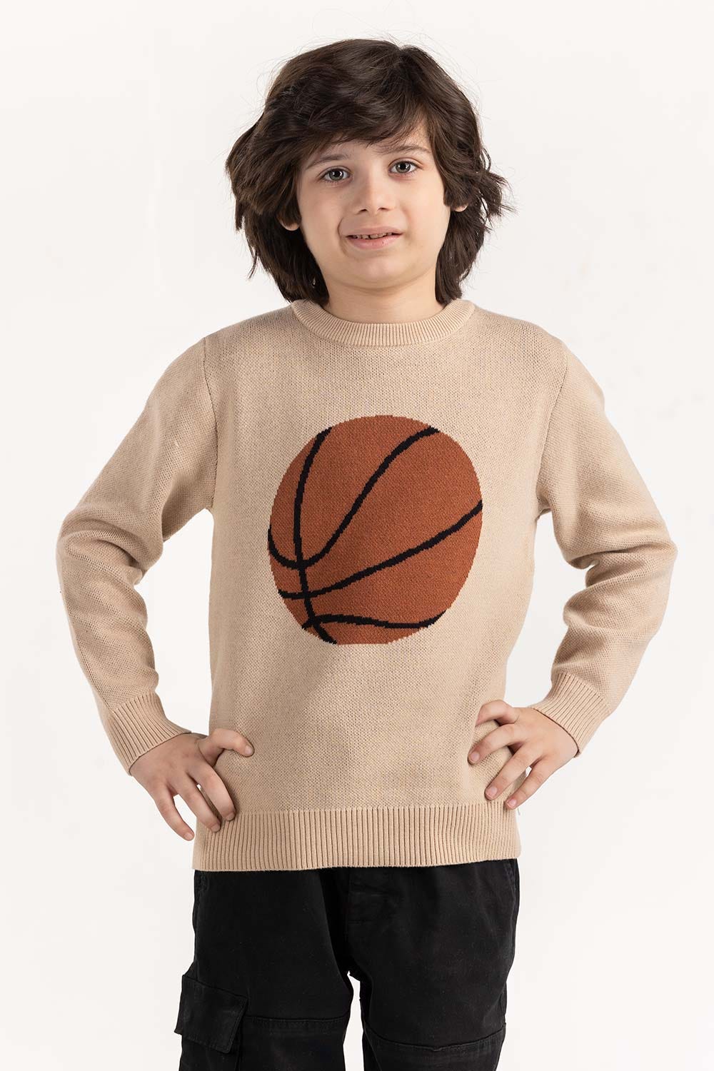 Junior Boy Beige Knit Sweater