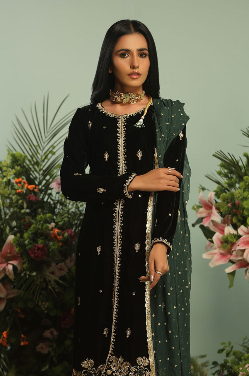 BLACK AND GREEN VELVET