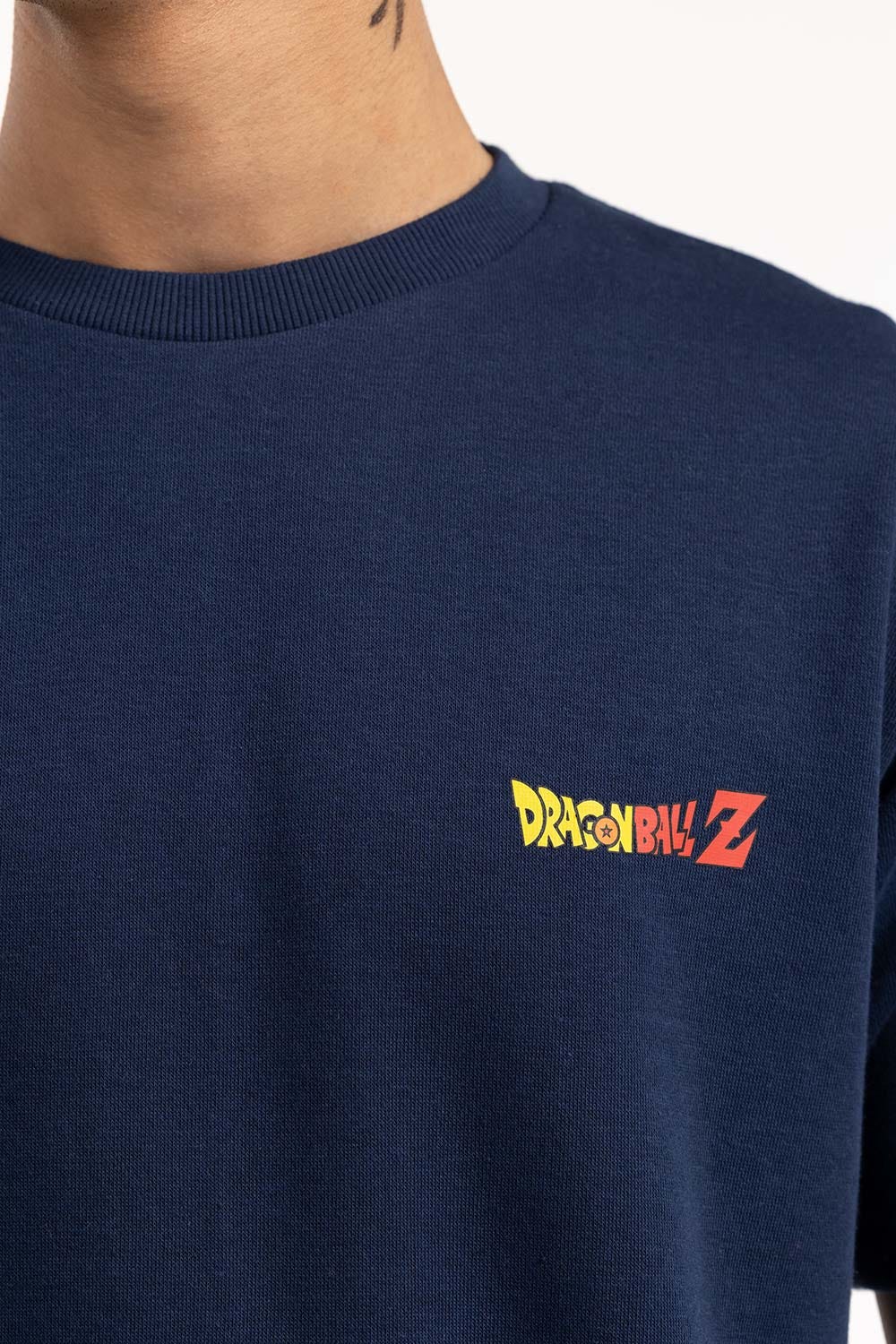 https://cdn.shopify.com/s/files/1/0706/3253/8159/files/blue_t-shirt_224-113-034_6.jpg?v=1758454709