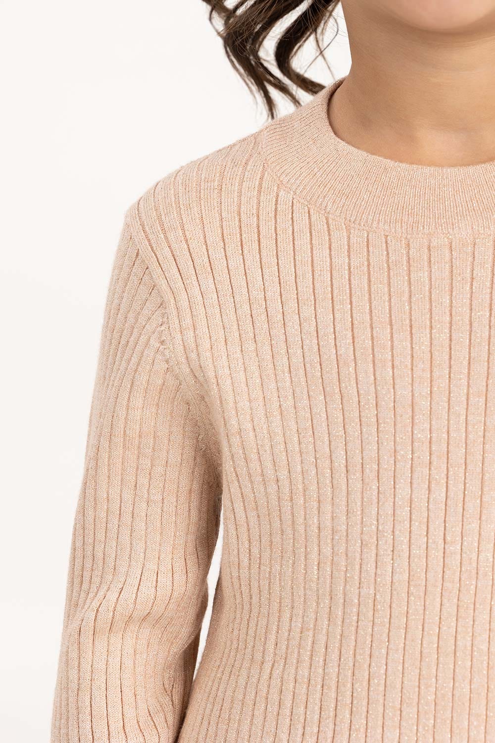 Toddler Girl Brown Ribbed Sweater With Turtle Neck