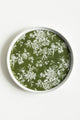 Classic Flora Collar Plate