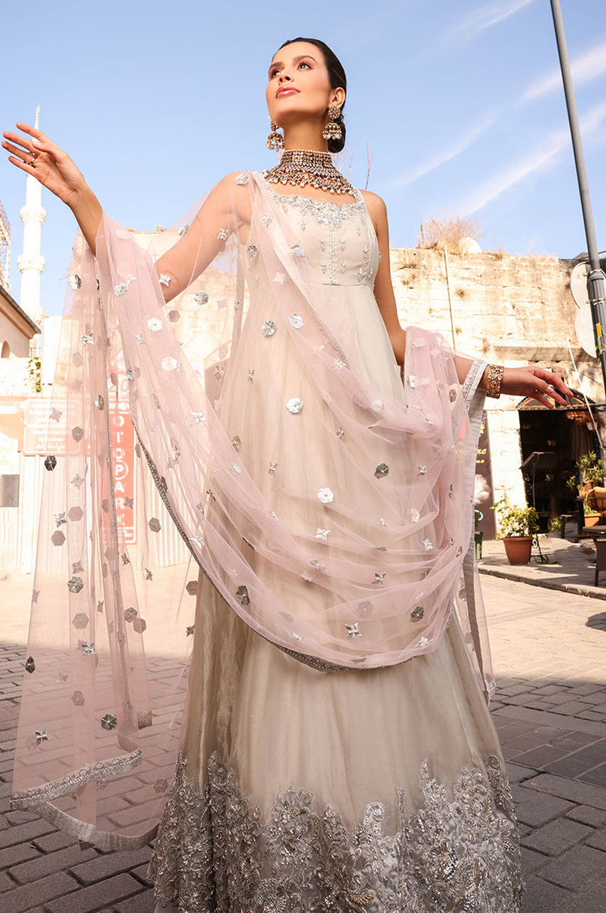 Chandani Kalidaar - Dupatta (As Shown)