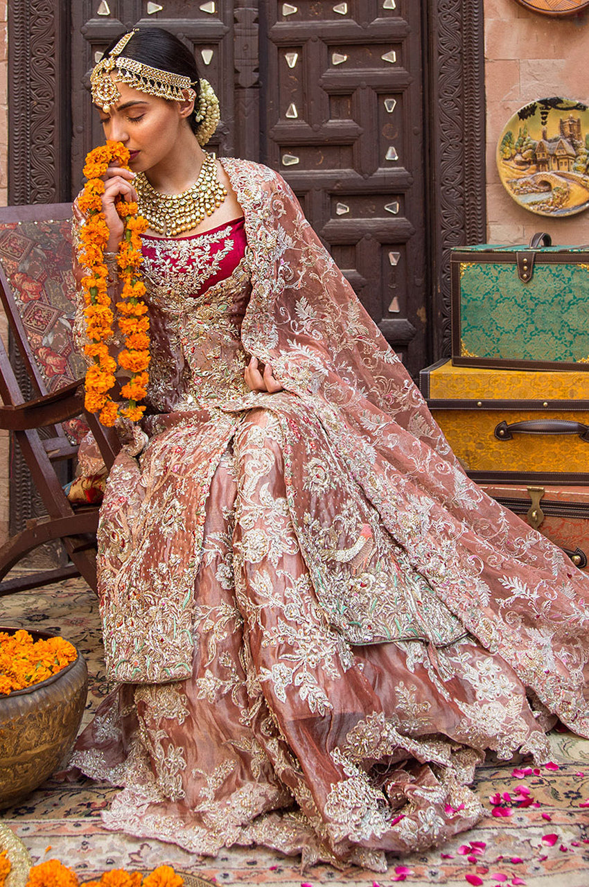 Shabnam - Exhibition