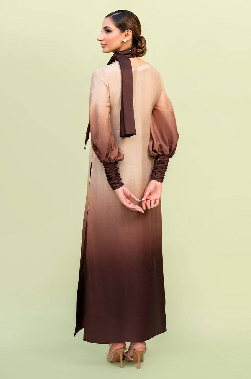 Brown Ombre