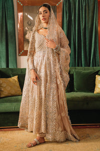 Royal Orchid
